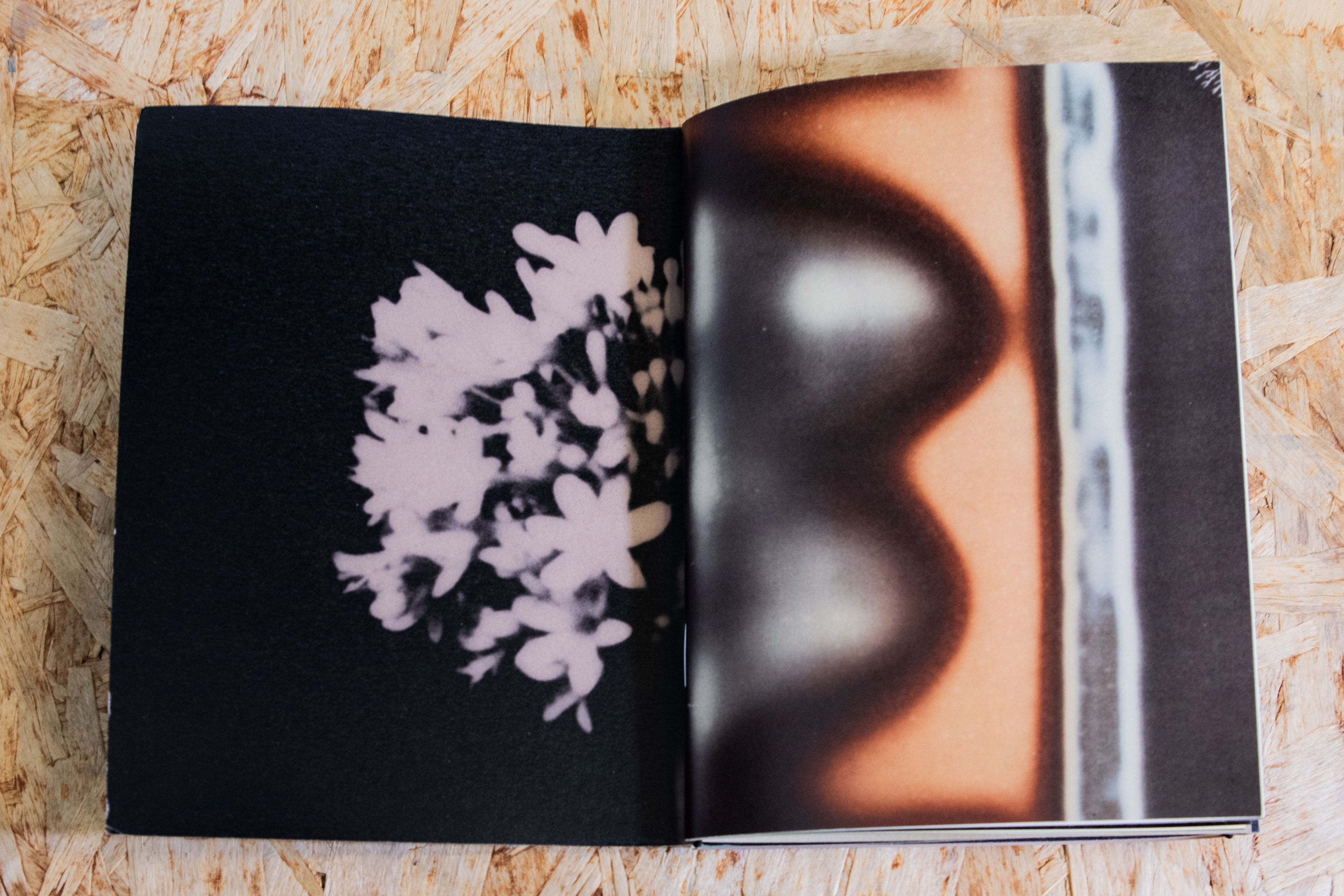 Alessandro TERNI - чмок,чмок