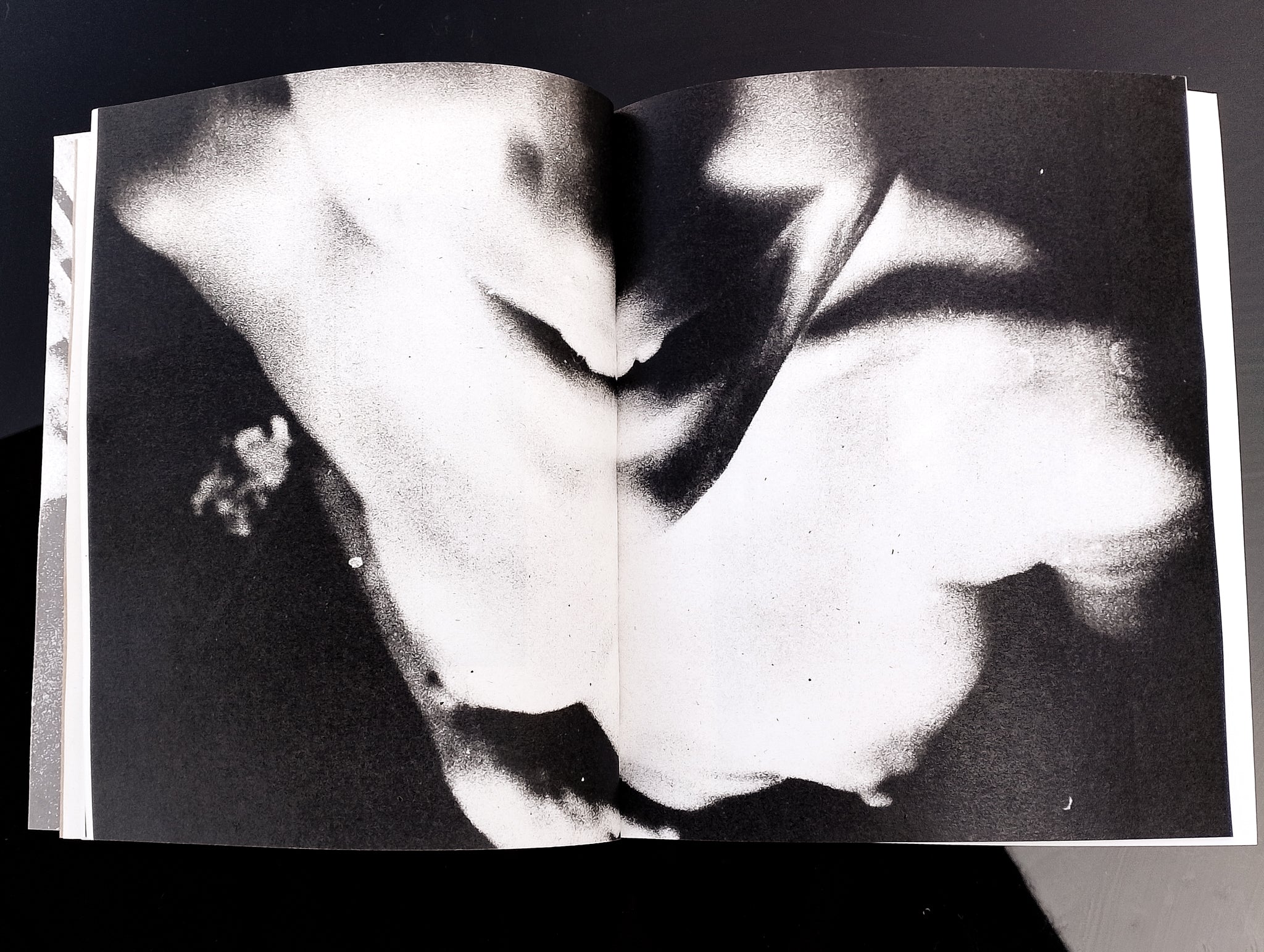 Federico RENZAGLIA - CONSOLATI