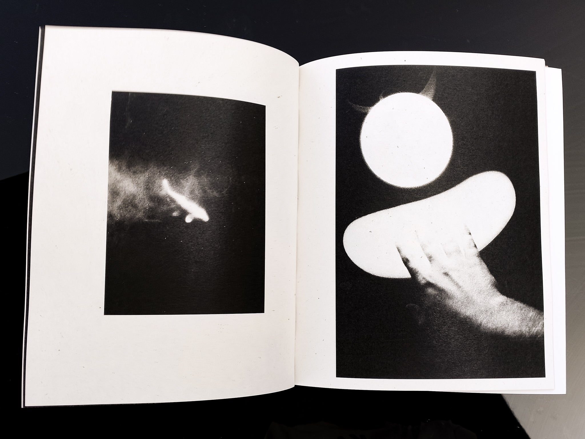 Federico RENZAGLIA - CONSOLATI