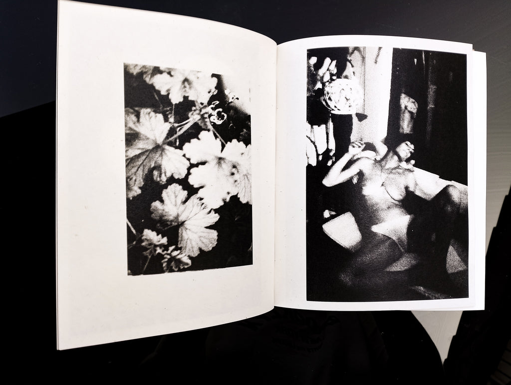 Federico RENZAGLIA - CONSOLATI