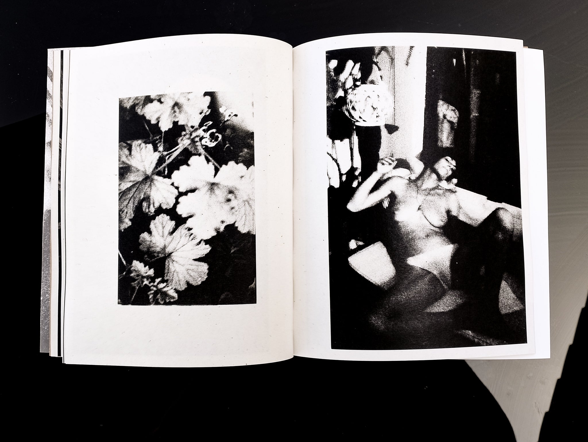 Federico RENZAGLIA - CONSOLATI