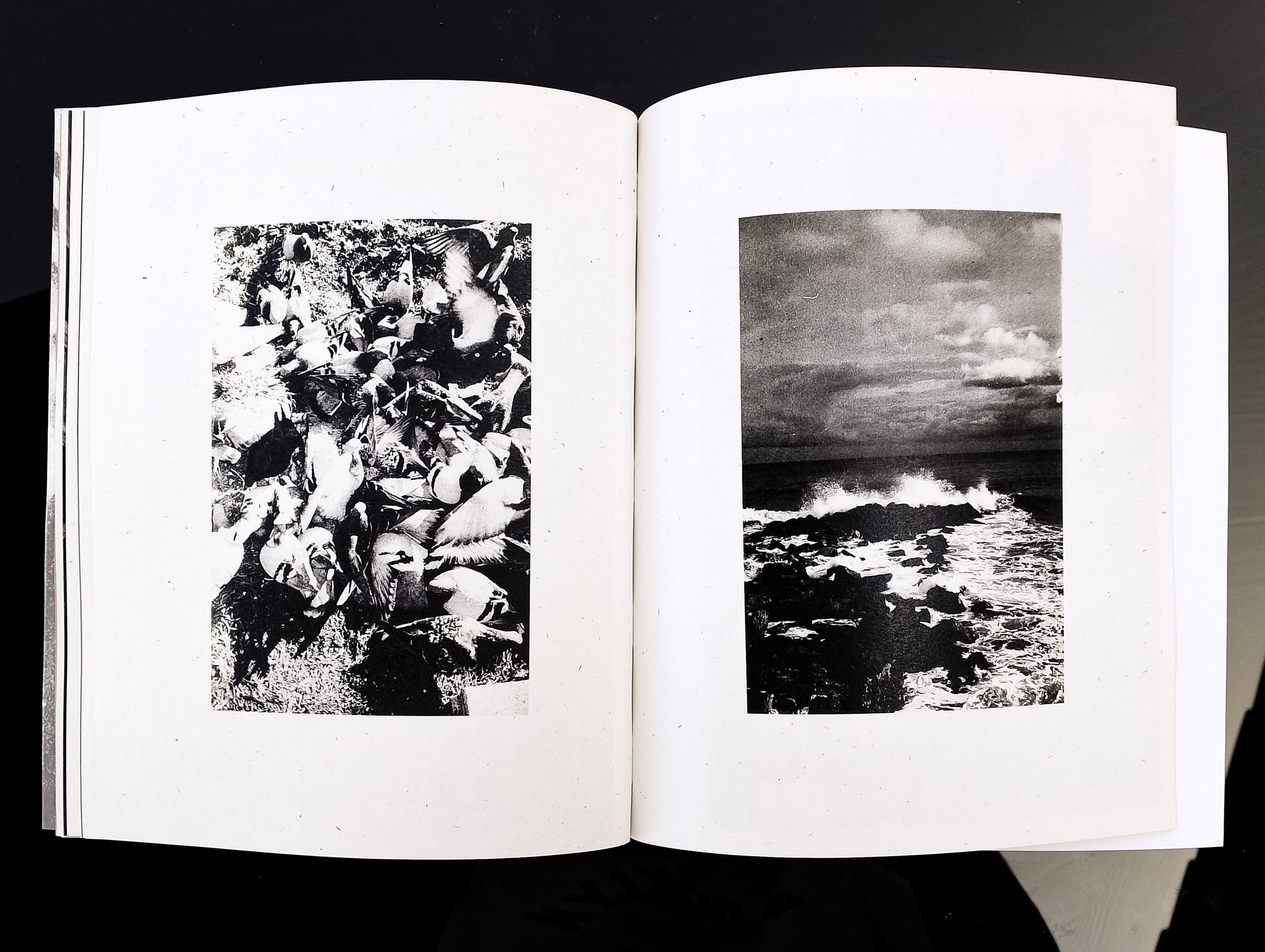 Federico RENZAGLIA - CONSOLATI