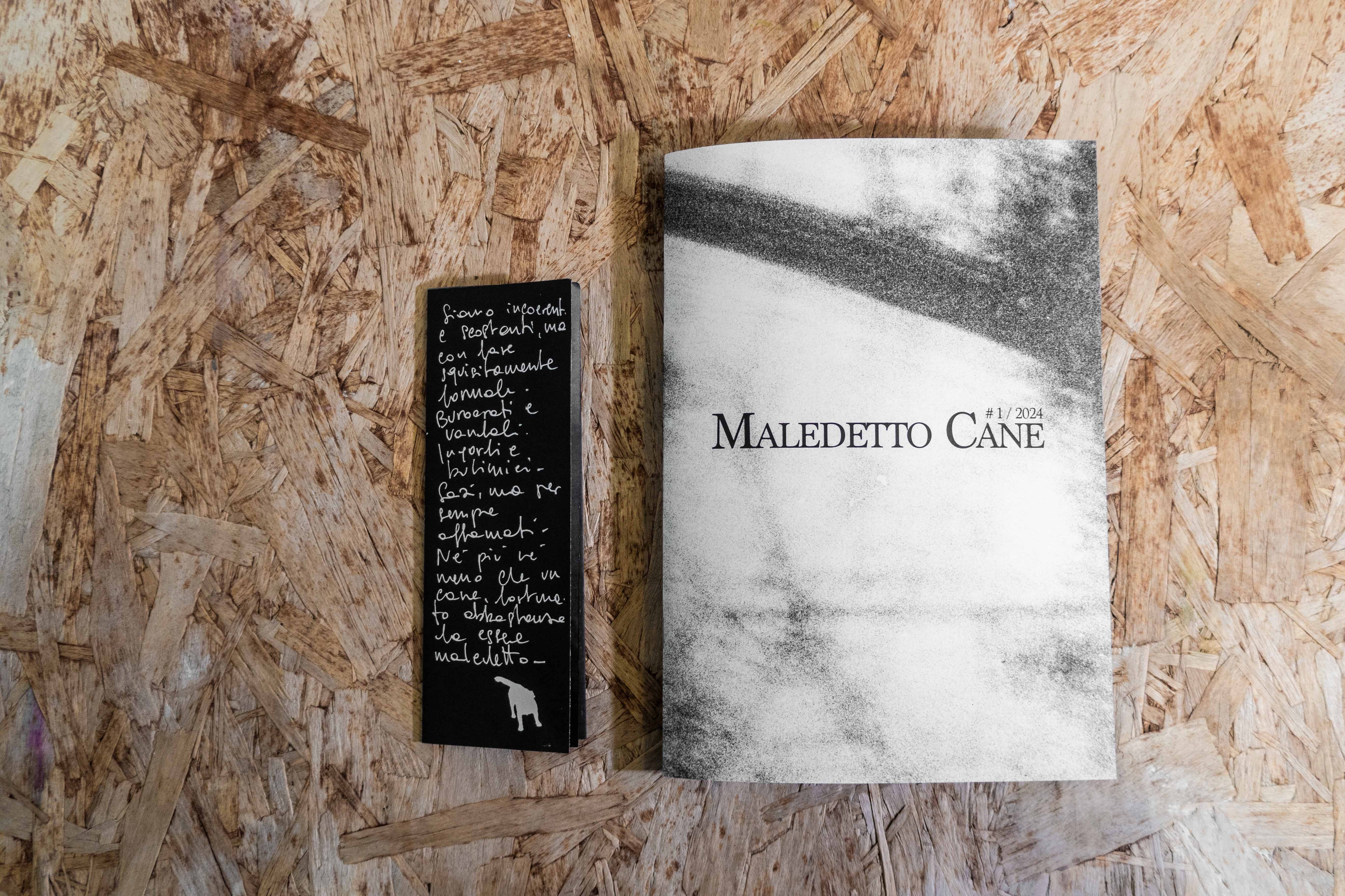 Various Artists - MALEDETTO CANE #1 // 2024